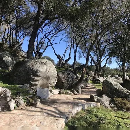 Nyaraló Sweet Porto-Vecchio